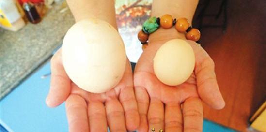 邯郸纪录,邯郸一千米纪录