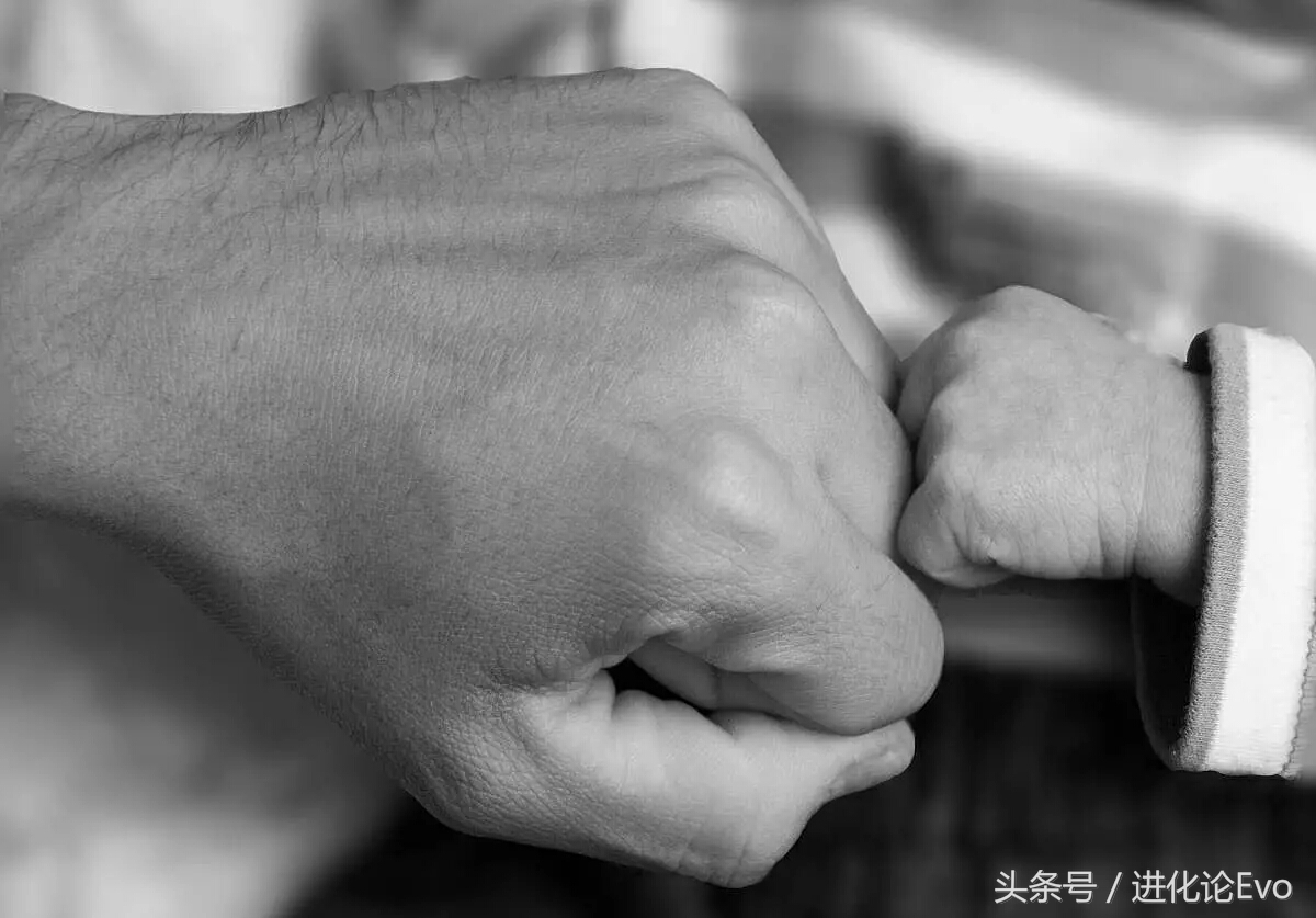 618的时候，谁给你剁手的钱？