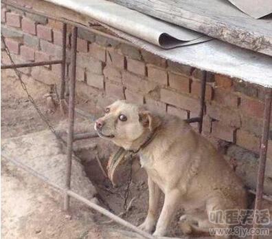 坐车晕车同时开车也晕车的多不,开车不晕车坐车晕车是什么原因