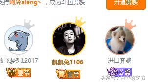 斗鱼阿冷直播回放视频,斗鱼阿冷最后一场直播人气