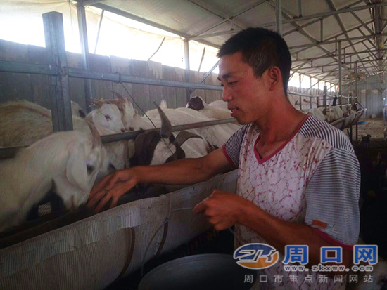 沈丘县贫困户胡志全：贷来小本钱翻身当老板