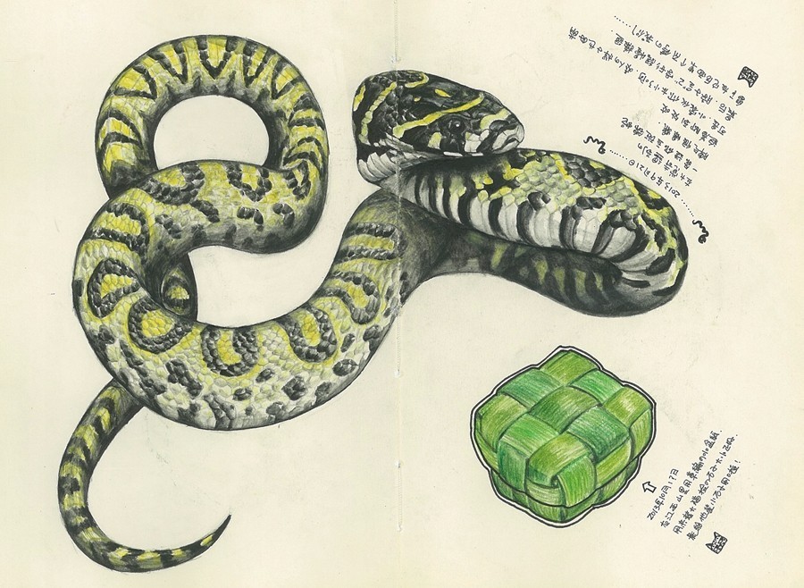 怎么加入猫盟,猫盟百科全书