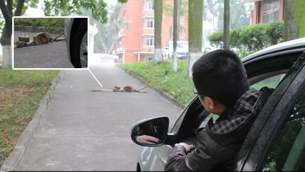 车门把手被人塞了硬币怎么办,车的门把手被夹了硬币怎么办