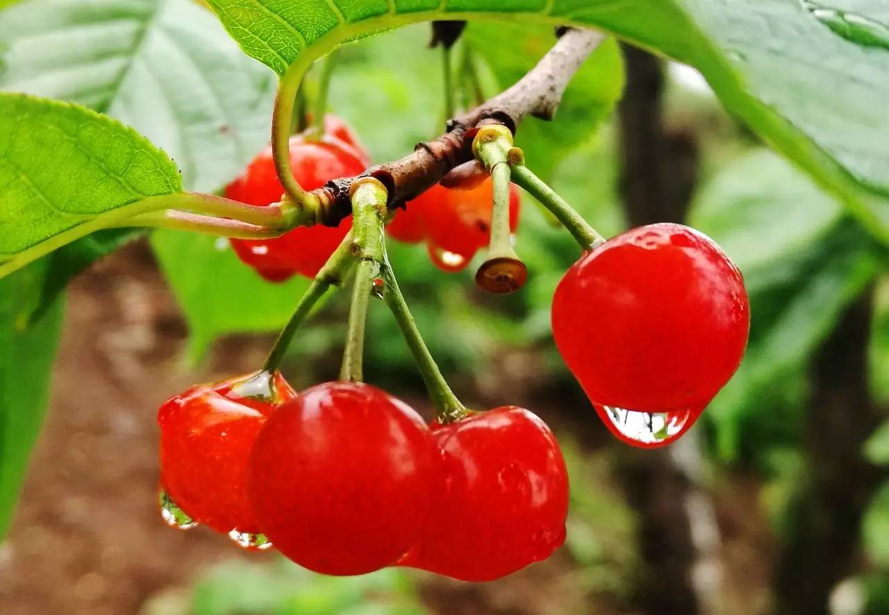永善县城规划最新消息,永善县搬迁还有名额吗
