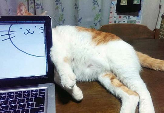 韩国专属“火病”又能申遗了!每日轻松一刻6月27日午间版