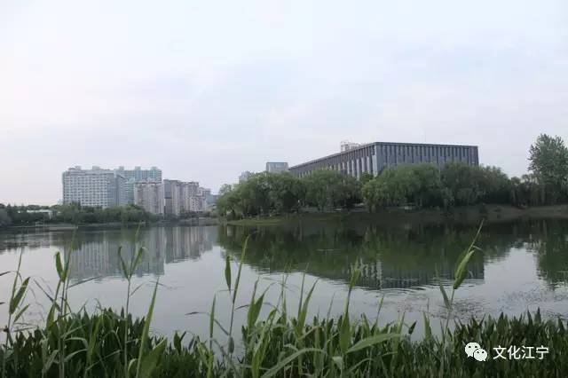 10年前江宁百家湖,南京江宁百家湖说说