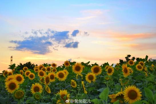 周末一日游详细攻略 (周末带你去旅行攻略)