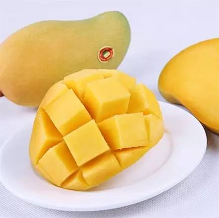 居然有人给芒果这种生物开世界大会,逼格升级,田东又要火上天啊!