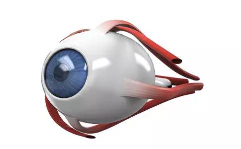 科普｜远视眼的病因病理