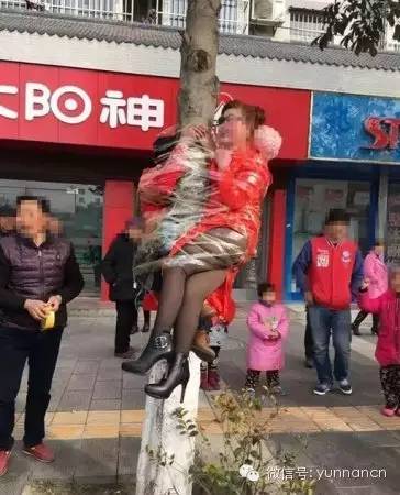 孔雀被拔羽毛事件,云南动物园孔雀被吓死