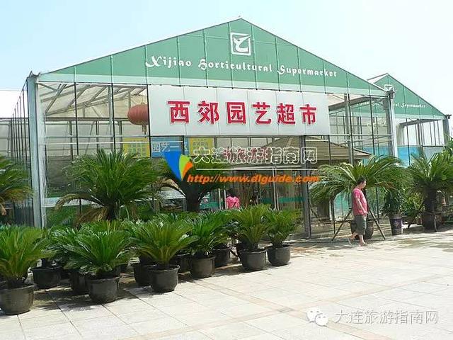 大连西郊花卉园艺,大连西郊园林公园花卉超市