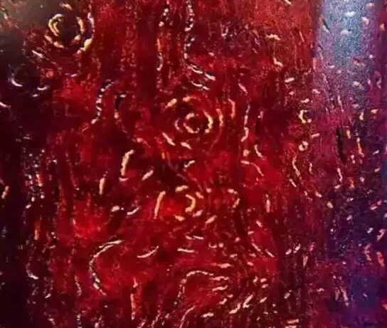 小叶紫檀为什么越盘金星越少,小叶紫檀里面有金星是什么原因