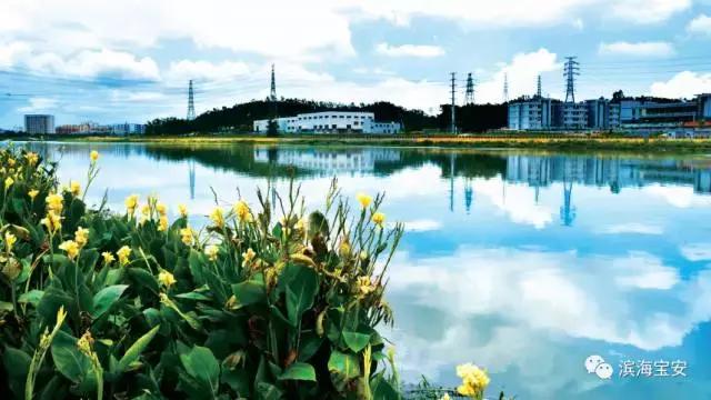 看了2020年的宝安，才明白什么叫开挂！