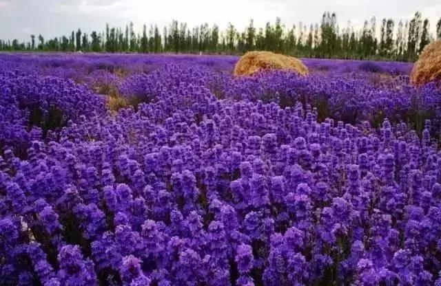 10个适合情侣的目的地，每一个都值得跟他好好走一走