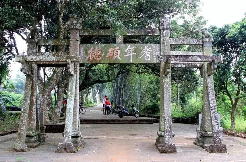 仲夏海口│探幽访古欢乐摘果听蝉鸣