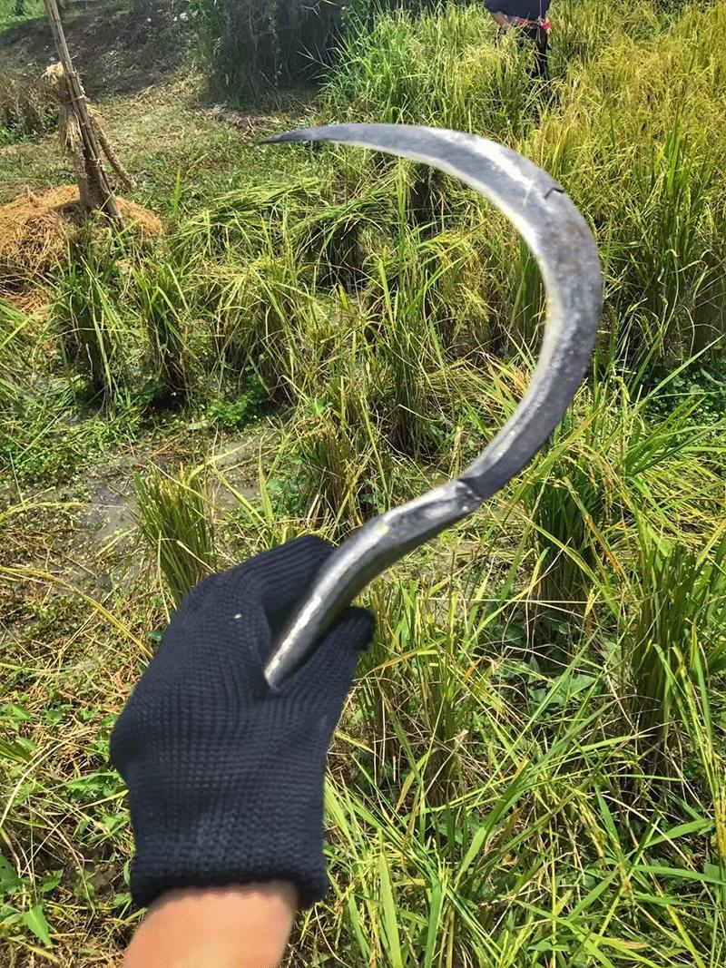 泰国旅游攻略必去景点曼谷,泰国曼谷男性旅游攻略