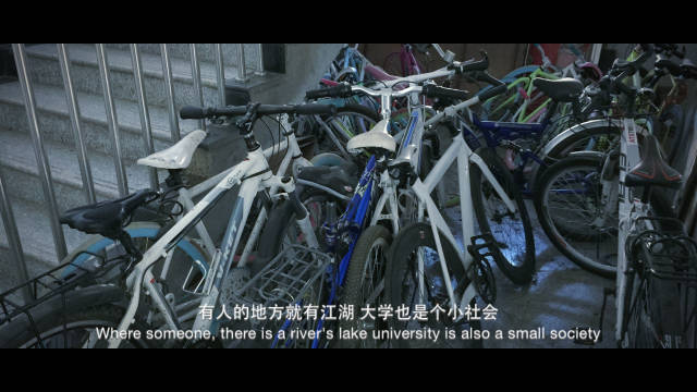 我的大学我的专业,我的大学专业