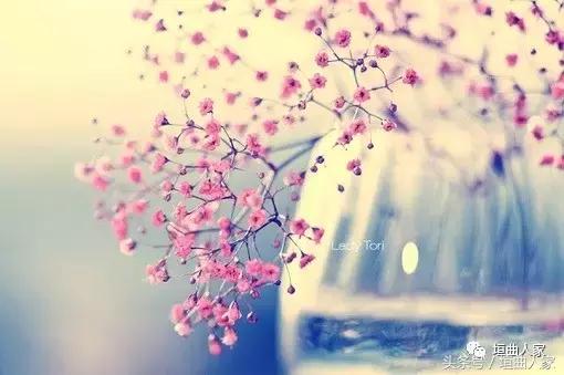 李卫卫丨散文/眼宽心宽自自在睚眦必究是愚人