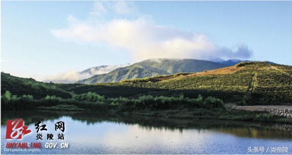 美丽炎陵，一个您想要去而一定要去的地方