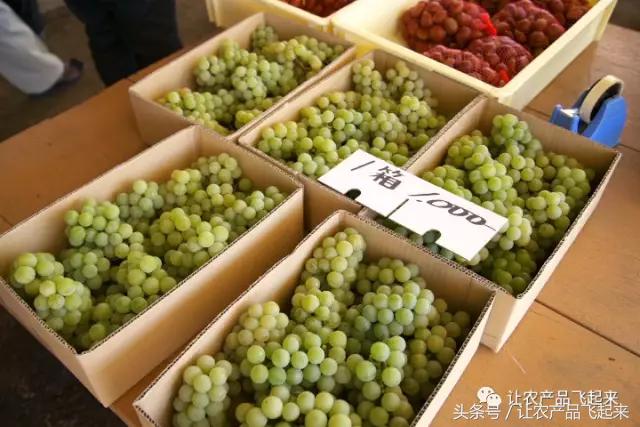 有种葡萄园，卖的不是产品，而是特色