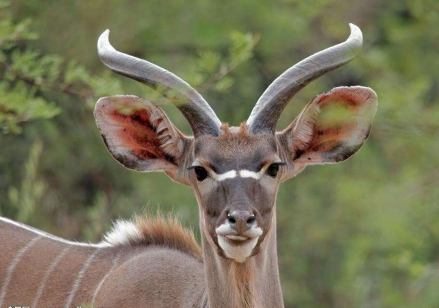 老人常见的皮肤病有哪些,老人脸上长了皮肤癌咋治