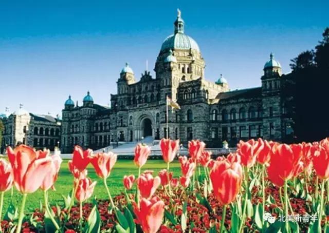 加拿大留学必备100个技巧,加拿大留学生省钱方法