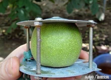 红木根雕值钱吗有收藏价值吗,红木家具一般是收藏还是实用