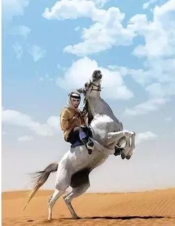 沙特最帅王子哈曼丹,阿联酋王子哈曼丹照片