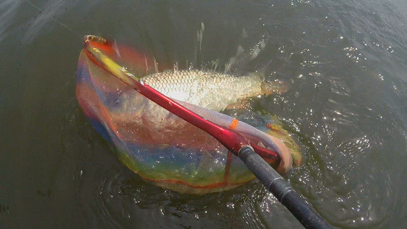 5种鱼钩的选择和用法图解,各种鱼钩详细讲解