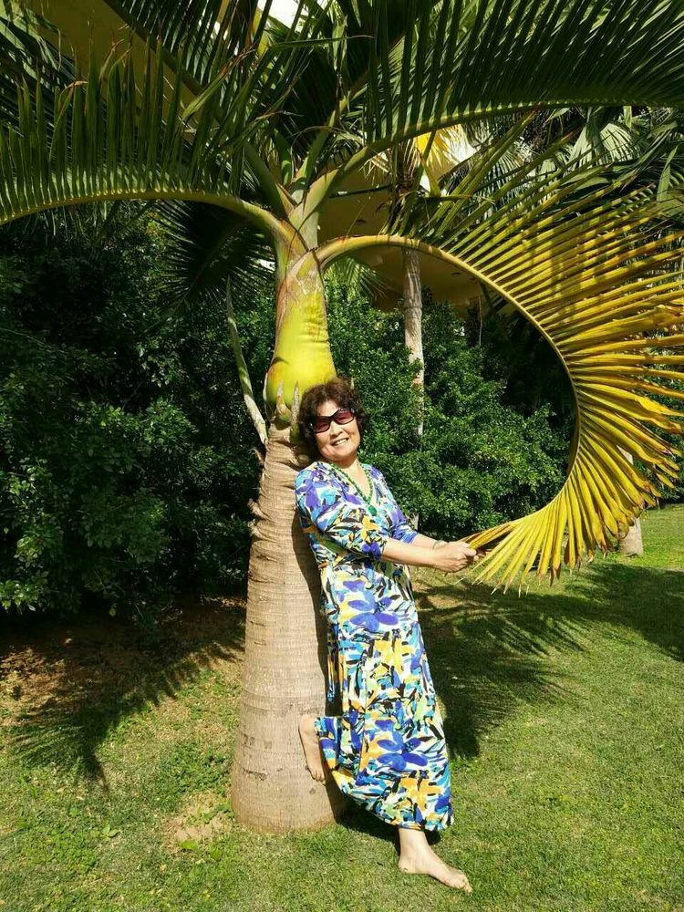 鍠滀箰瀹舵棌,鍠滀箰瀹舵棌鎴愬憳