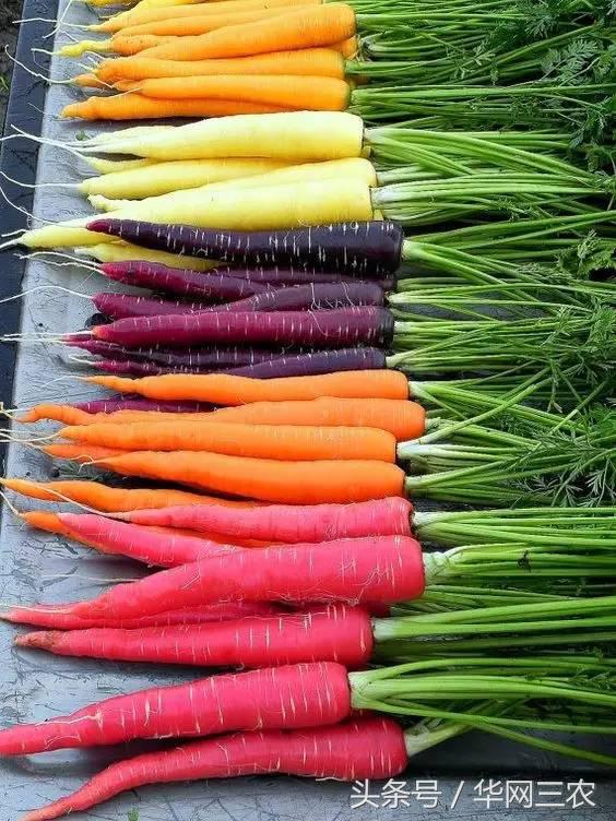 缅甸特产吃过3种算你牛？台州土特产出名啦看看有没有你老家的？网购的土特产都是家乡的味道？忻州特产？