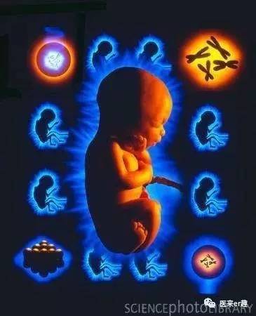 孕期超声提示胎儿心室强回声怎么办？