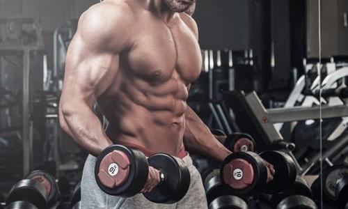 怎样制定增肌健身计划表,怎么制定自己的增肌健身计划