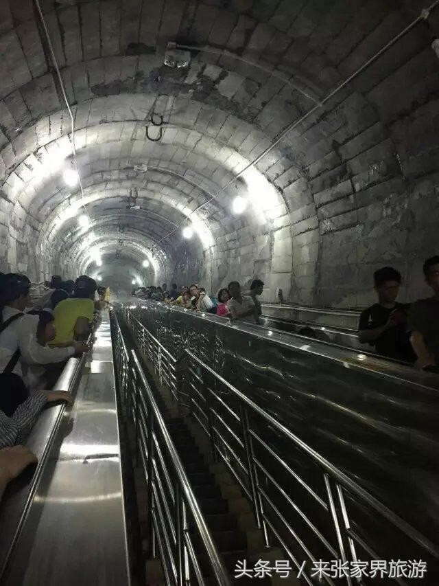 张家界旅游攻略天门山二日游费用,张家界大峡谷玻璃桥自由行