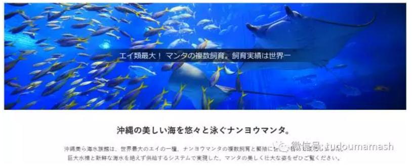 亲子暑假旅行好去处,日本冲绳亲子游自由行攻略图