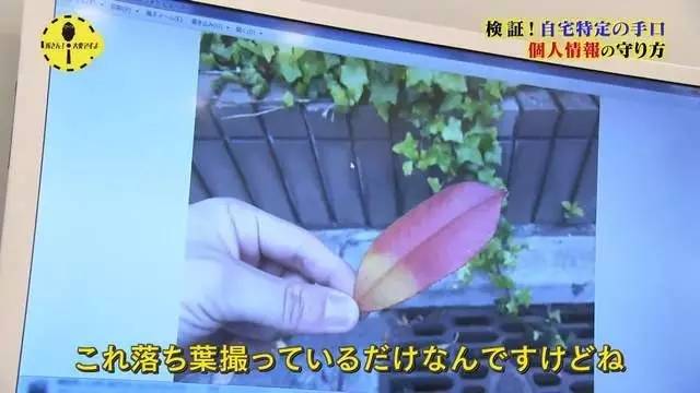 日本女子在网上发照片,日本女星晒自拍