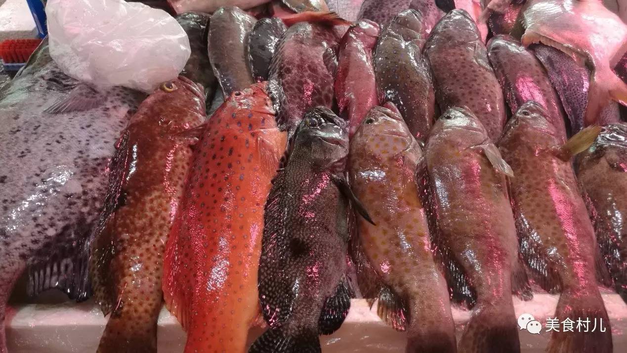 味道深圳寻味香港一起香江叹茶