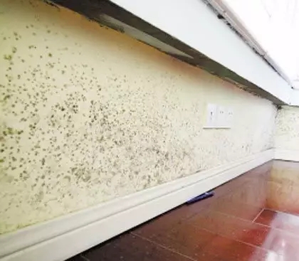 地下室有必要花钱买吗,有没有必要买地下室