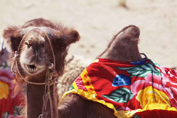 越野人肖晗:身体和灵魂同在路上