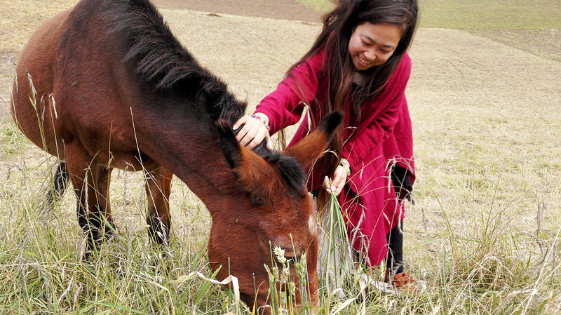青海游记探秘神秘的青藏高原之旅,青藏高原旅行大全