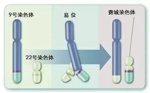 「连载1/4」传奇药品：格列卫的曲折研发路第一回