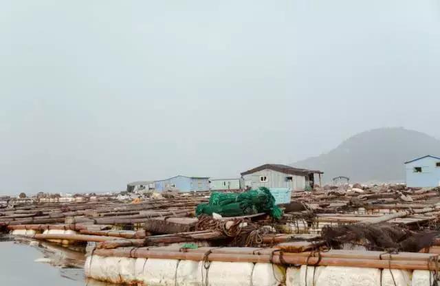 可溯金融的钱还能要回来吗,可溯金融会还钱吗