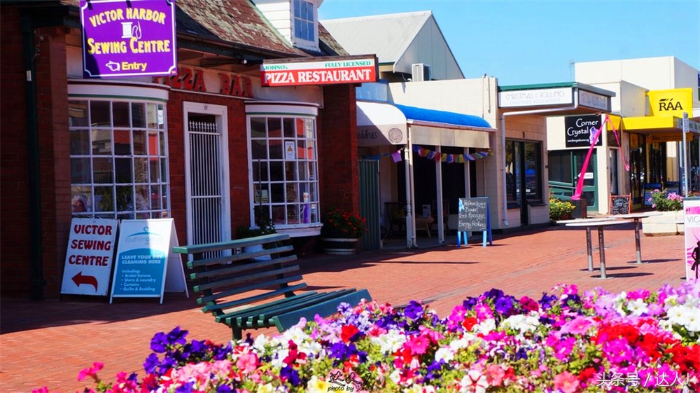 澳洲阿德莱德vs悉尼fc,阿德莱德对澳洲悉尼