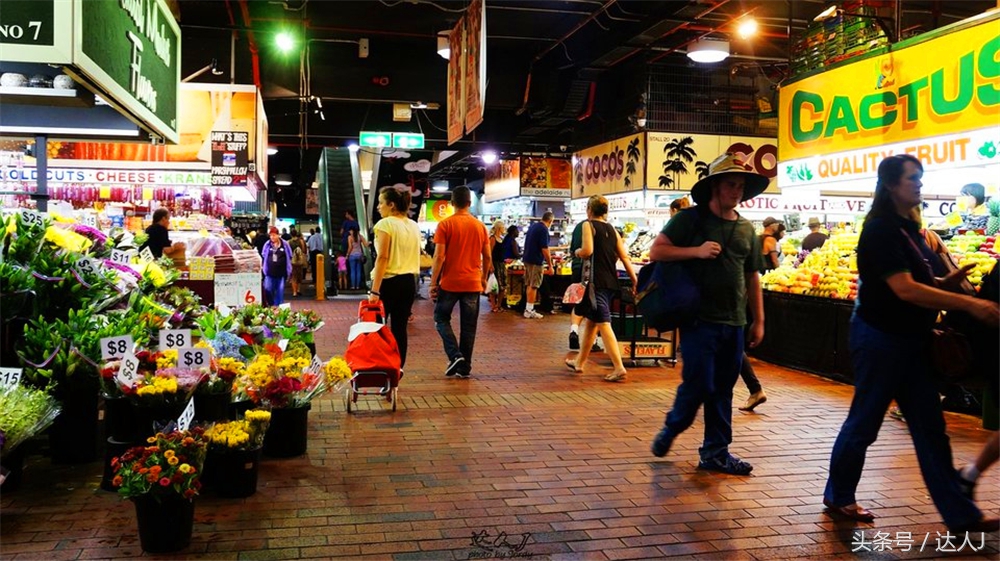 澳洲阿德莱德vs悉尼fc,阿德莱德对澳洲悉尼