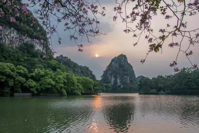 七星岩夏天的荷花图片,七星岩景区有荷花吗