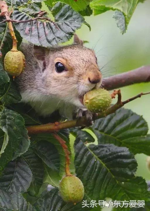 亲子互动手指谣,亲子互动手指谣小板凳