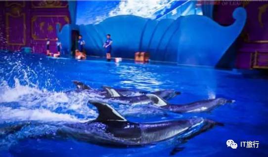 横店影视城嬉水潮玩季纯玩2日游,横店影视城二日游玩梦幻谷