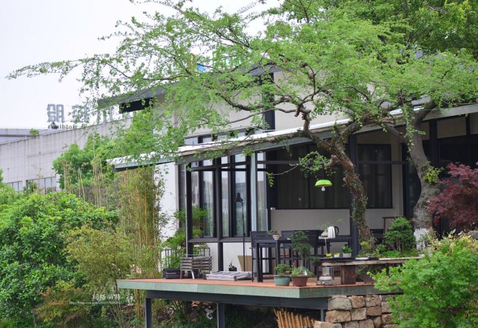 鎷滆涓滅鑽夊爞,鑺卞洯鎷滆