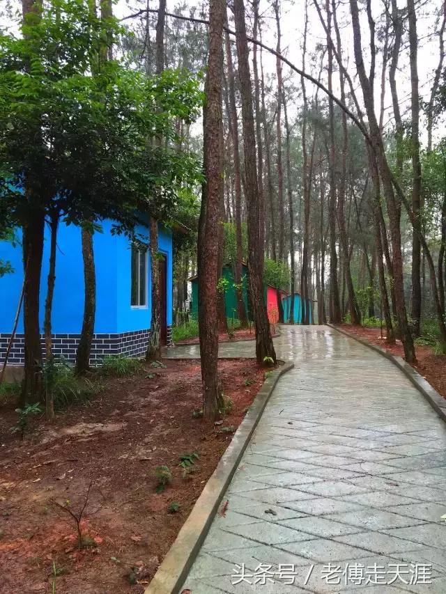 梁平适合夏天耍水凉快的地方,重庆梁平竹海旅游攻略