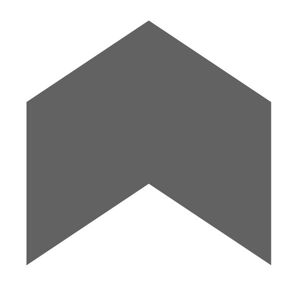 谢谢你高中征文,鲁迅中学初中